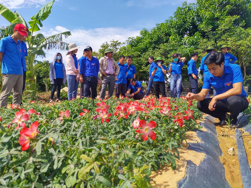 Đoàn khối cơ quan tỉnh Hưng Yên ghé thăm nông trại Sâm Bố Chính- Nguồn FB Đồng Hoàng

