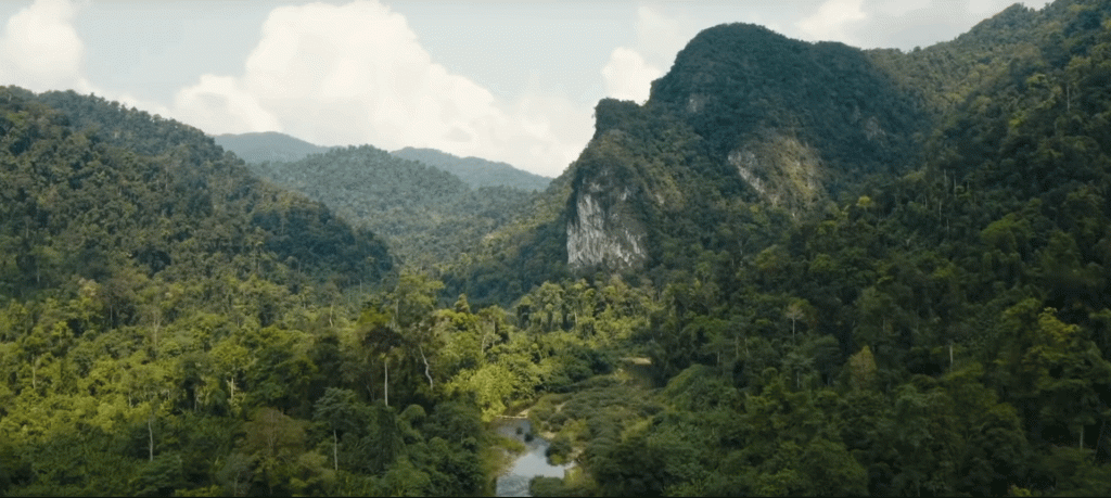Núi rừng tại Phong Nha Kẻ Bàng