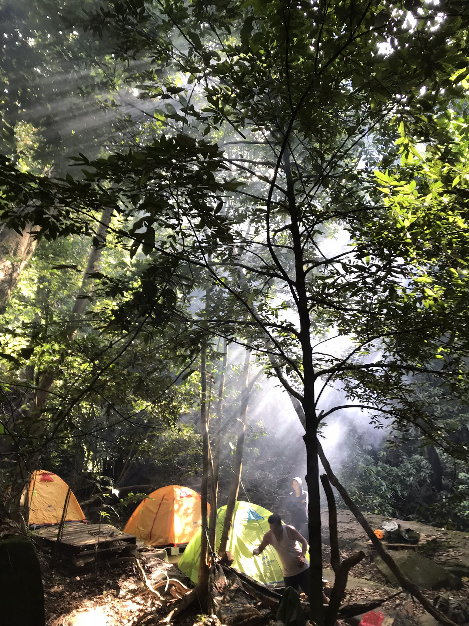 Cắm trại trong rừng Sâu trong hành trình chinh phục Thác Dương Cầm